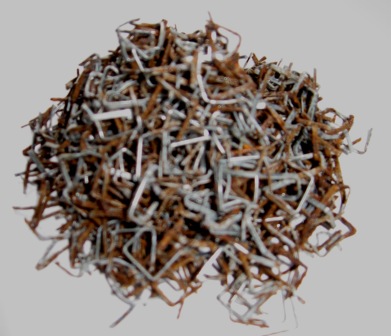 The pile of rusting staples removed from the canvas.